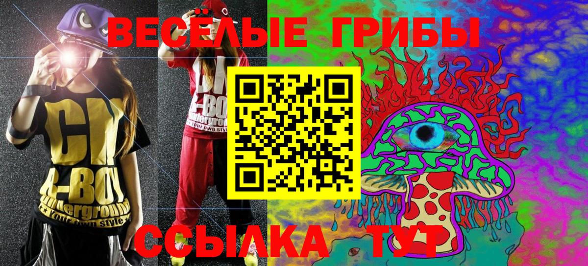 Псилоцибиновые грибы мицелий Заводоуковск